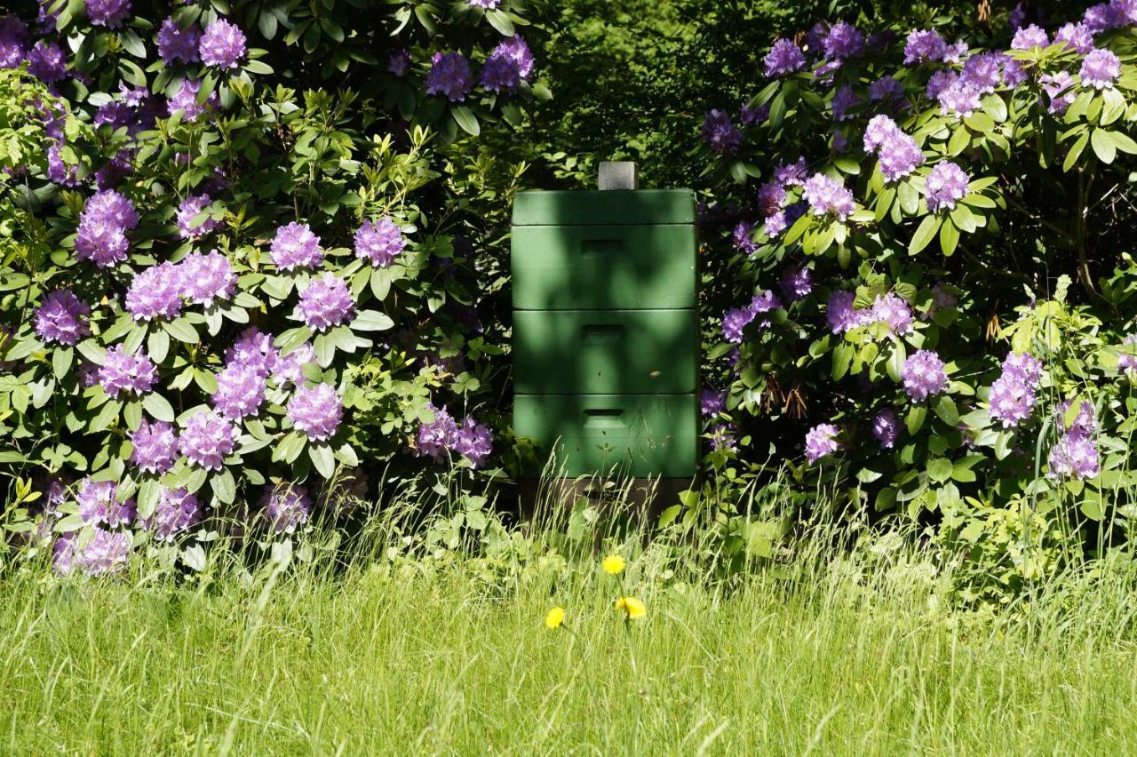 Ferienpension Lindenhof - Ferienwohnungen In Der Lueneburger Heide Marxen am Berge エクステリア 写真