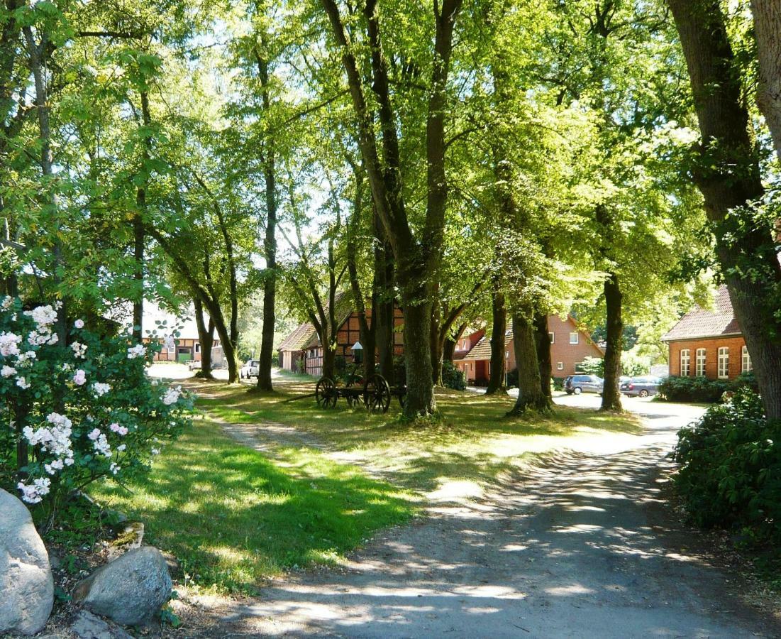 Ferienpension Lindenhof - Ferienwohnungen In Der Lueneburger Heide Marxen am Berge エクステリア 写真