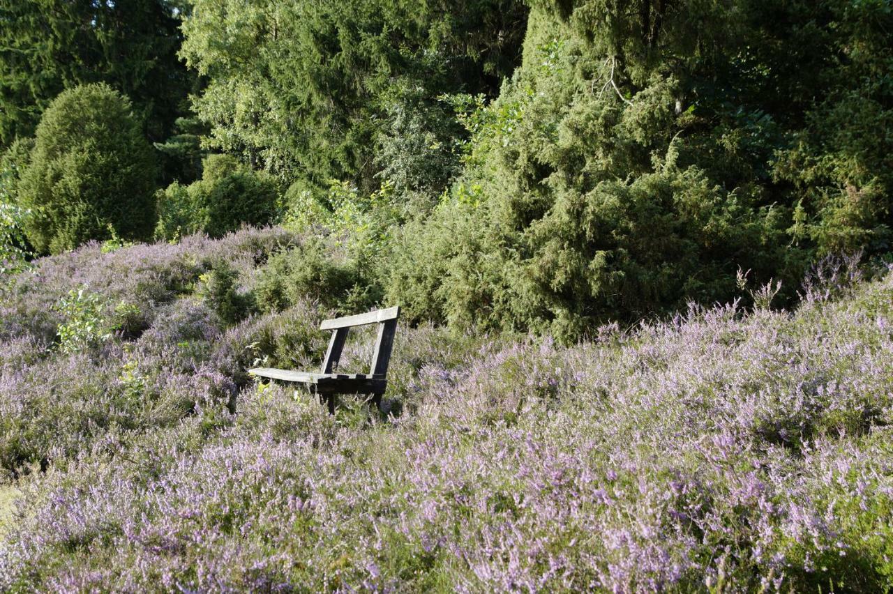 Ferienpension Lindenhof - Ferienwohnungen In Der Lueneburger Heide Marxen am Berge エクステリア 写真